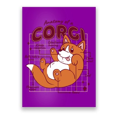 Anatomy Of A Corgi Dog Poster