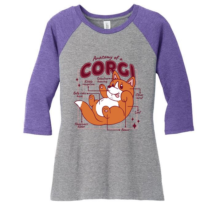 Anatomy Of A Corgi Dog Women's Tri-Blend 3/4-Sleeve Raglan Shirt