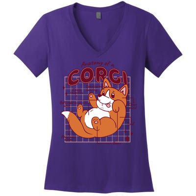 Anatomy Of A Corgi Dog Women's V-Neck T-Shirt