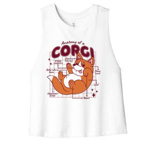 Anatomy Of A Corgi Dog Women's Racerback Cropped Tank