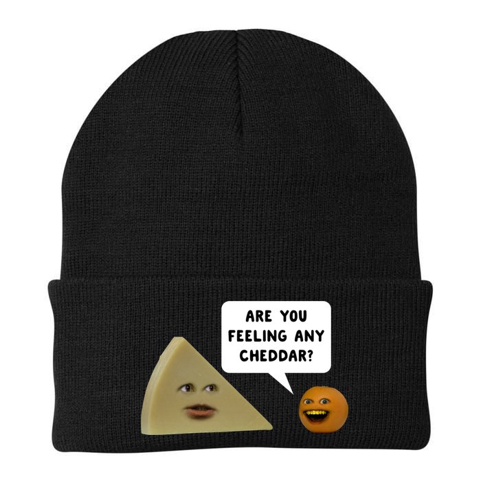 Annoying Orange Are You Feeling Any Cheddar Gift Beanie
