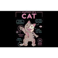 Anatomy Of A Cat Bumper Sticker