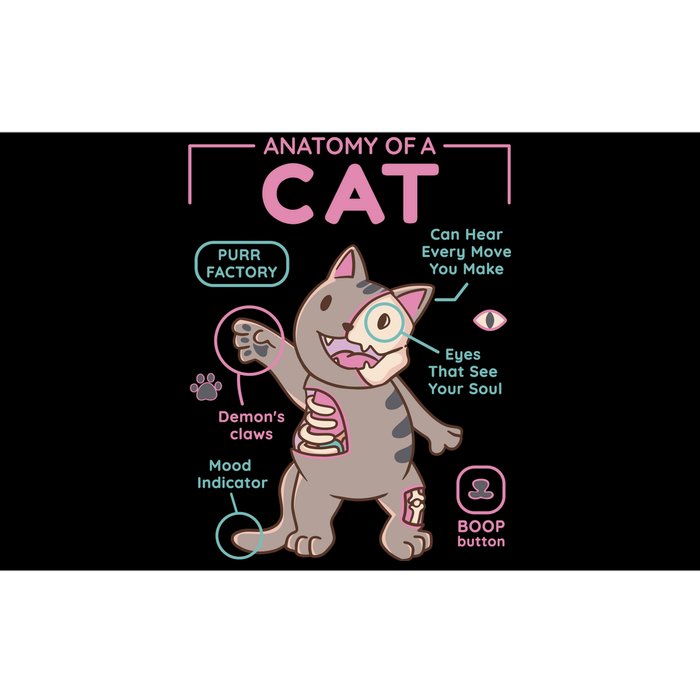 Anatomy Of A Cat Bumper Sticker