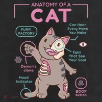 Anatomy Of A Cat 11oz C Handle Ceramic Mug