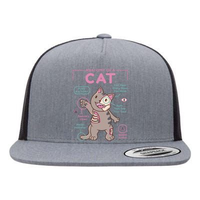 Anatomy Of A Cat Flat Bill Trucker Hat