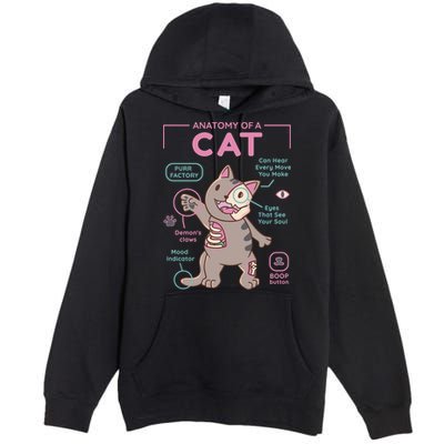 Anatomy Of A Cat Premium Pullover Hoodie
