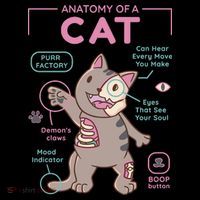 Anatomy Of A Cat Poster
