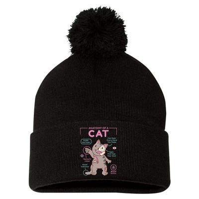 Anatomy Of A Cat Pom Pom 12in Knit Beanie