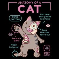Anatomy Of A Cat Baby Bodysuit