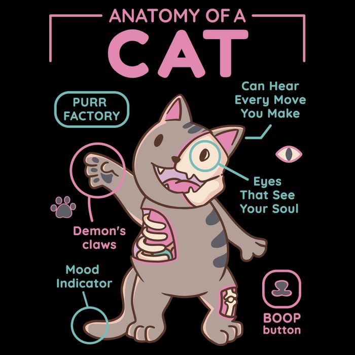 Anatomy Of A Cat Baby Bodysuit