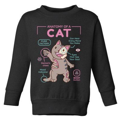 Anatomy Of A Cat Toddler Sweatshirt