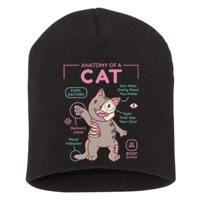 Anatomy Of A Cat Short Acrylic Beanie