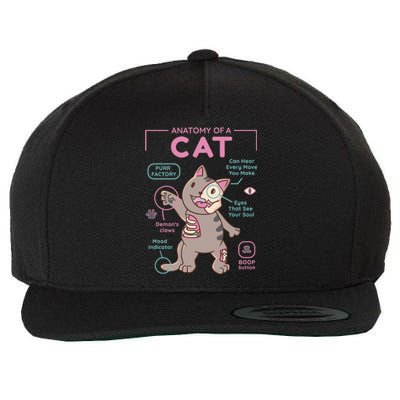 Anatomy Of A Cat Wool Snapback Cap