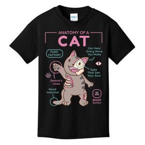 Anatomy Of A Cat Kids T-Shirt