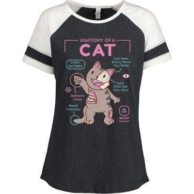 Anatomy Of A Cat Enza Ladies Jersey Colorblock Tee