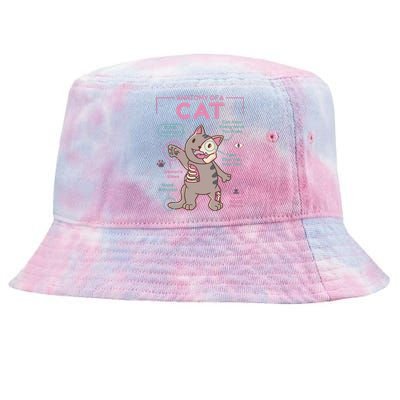 Anatomy Of A Cat Tie-Dyed Bucket Hat