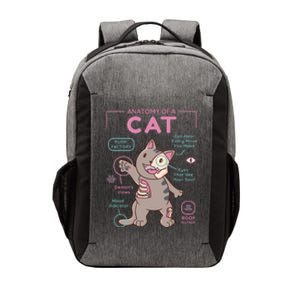 Anatomy Of A Cat Vector Backpack