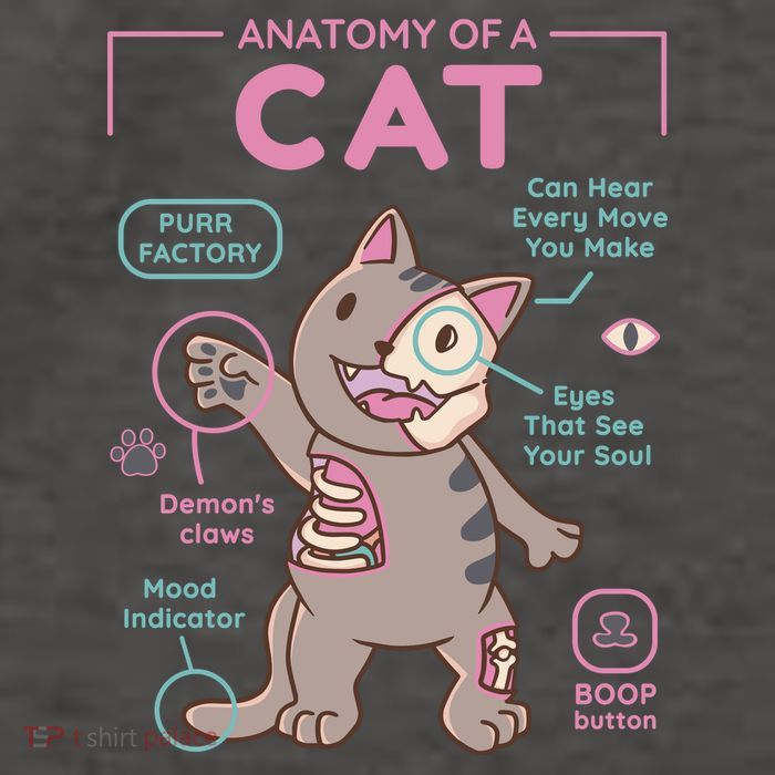 Anatomy Of A Cat Vector Backpack