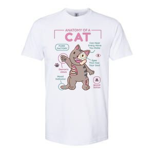 Anatomy Of A Cat Softstyle CVC T-Shirt