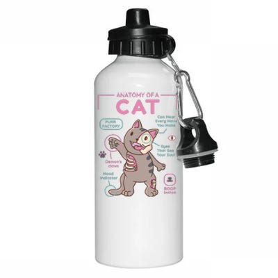 Anatomy Of A Cat Aluminum Water Bottle