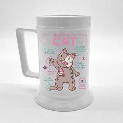 Anatomy Of A Cat Beer Stein