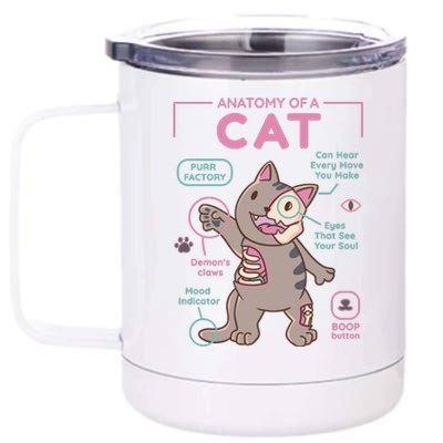 Anatomy Of A Cat 12 oz Stainless Steel Tumbler Cup