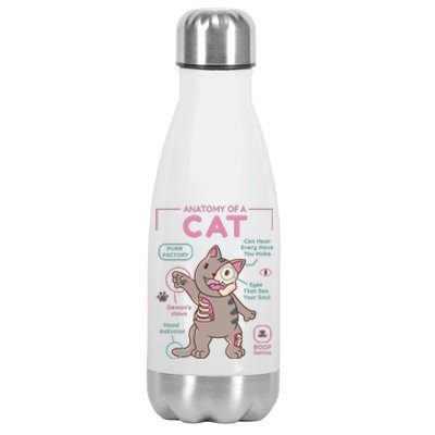 Anatomy Of A Cat Stainless Steel Insulated Water Bottle