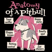 Anatomy Of A Pitbull Cute Gift Mug