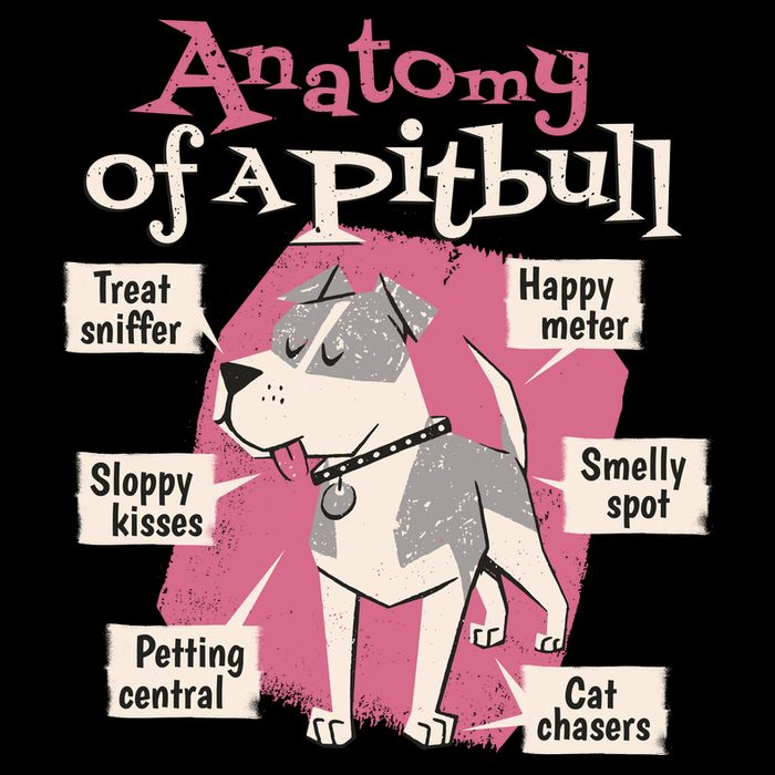 Anatomy Of A Pitbull Cute Gift Mug