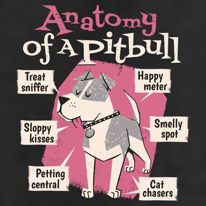 Anatomy Of A Pitbull Cute Gift 11oz C Handle Ceramic Mug