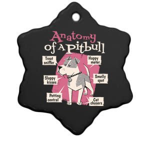 Anatomy Of A Pitbull Cute Gift Ceramic Star Ornament