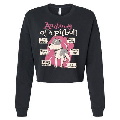 Anatomy Of A Pitbull Cute Gift Cropped Pullover Crew