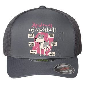 Anatomy Of A Pitbull Cute Gift Flexfit Unipanel Trucker Cap