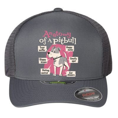 Anatomy Of A Pitbull Cute Gift Flexfit Unipanel Trucker Cap