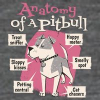Anatomy Of A Pitbull Cute Gift Flatbill Hat