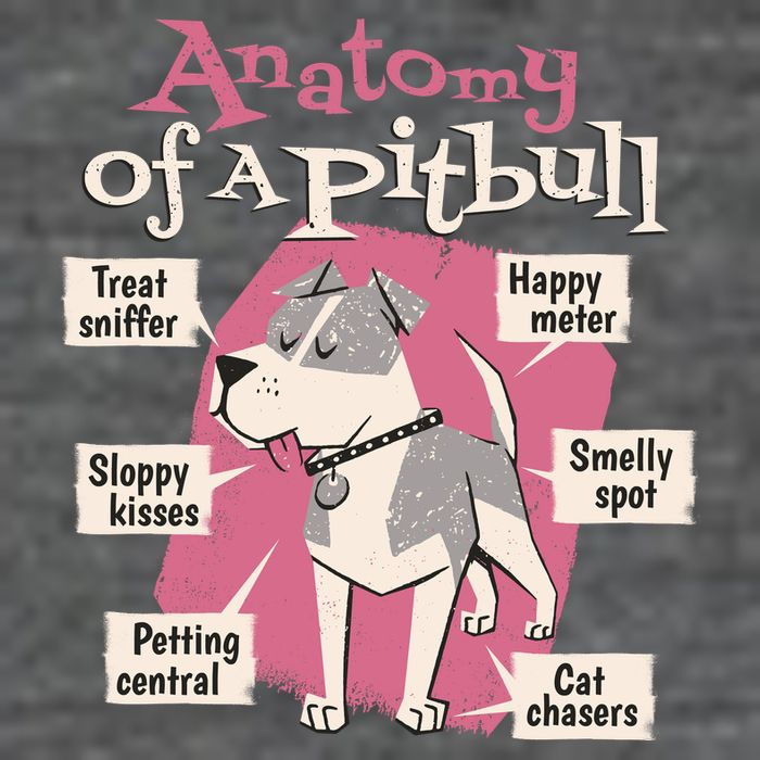 Anatomy Of A Pitbull Cute Gift Flatbill Hat