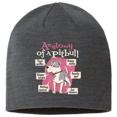 Anatomy Of A Pitbull Cute Gift Sustainable Beanie