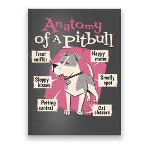 Anatomy Of A Pitbull Cute Gift Poster