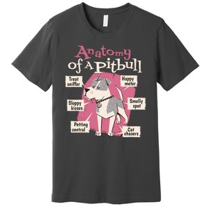 Anatomy Of A Pitbull Cute Gift Premium T-Shirt