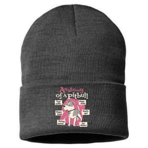 Anatomy Of A Pitbull Cute Gift Sustainable Knit Beanie