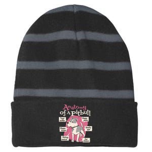 Anatomy Of A Pitbull Cute Gift Striped Beanie with Solid Band