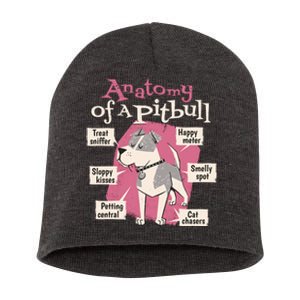 Anatomy Of A Pitbull Cute Gift Short Acrylic Beanie