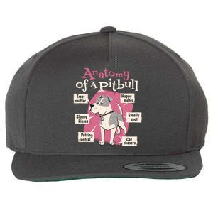 Anatomy Of A Pitbull Cute Gift Wool Snapback Cap