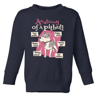 Anatomy Of A Pitbull Cute Gift Toddler Sweatshirt