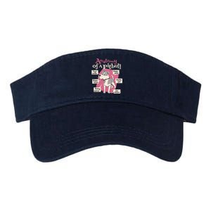 Anatomy Of A Pitbull Cute Gift Valucap Bio-Washed Visor