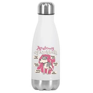 Anatomy Of A Pitbull Cute Gift Stainless Steel Insulated Water Bottle