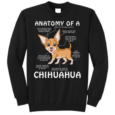 Anatomy Of A Chihuahua Tall Sweatshirt