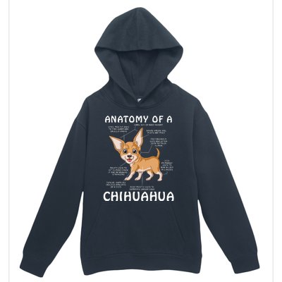 Anatomy Of A Chihuahua Urban Pullover Hoodie