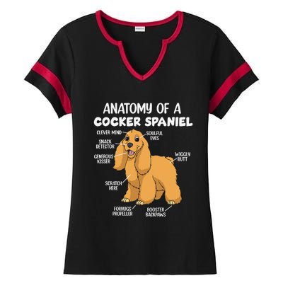 Anatomy Of A Cocker Spaniel funny pet lover Ladies Halftime Notch Neck Tee