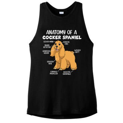 Anatomy Of A Cocker Spaniel funny pet lover Ladies PosiCharge Tri-Blend Wicking Tank